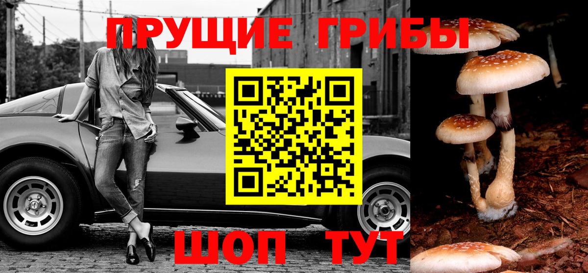Галлюциногенные грибы Cubensis  Вход с VPN  Псилоцибиновые грибы Psilocybine cubensis  Ялта 